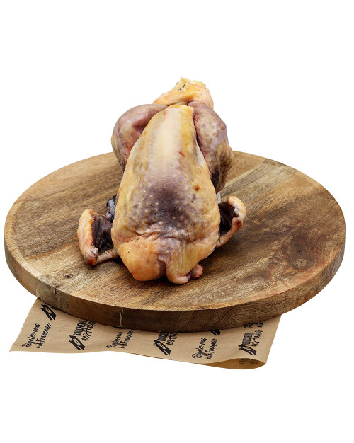 Pintade des landes