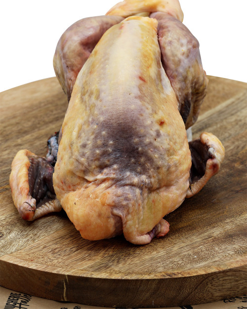 Pintade des landes