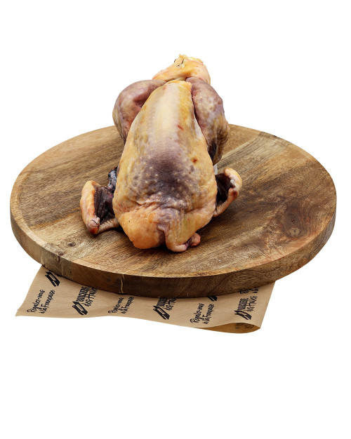 Pintade des landes